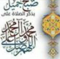 Toqa Elshaer